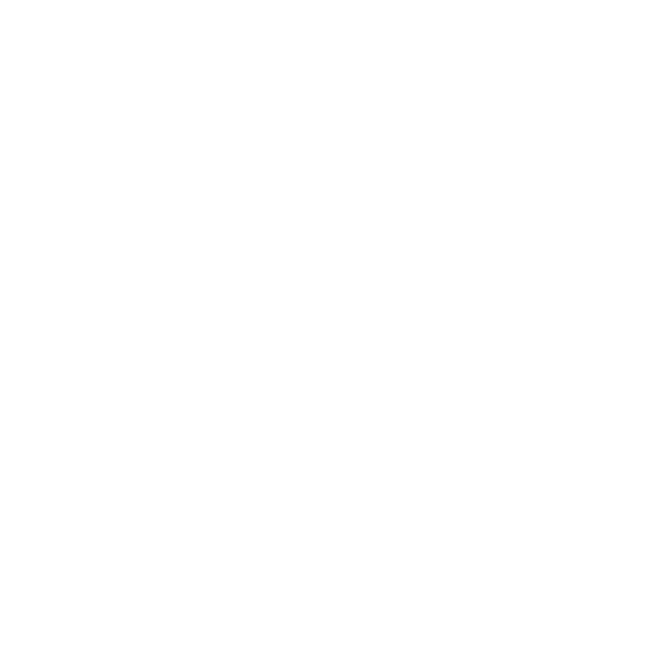 Terry Ferreira & Associates Immigration